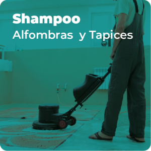 Shampo - Alfombras Y Tapices